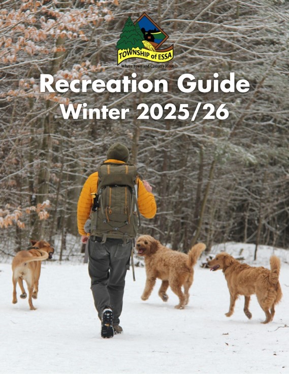Recreation Guide