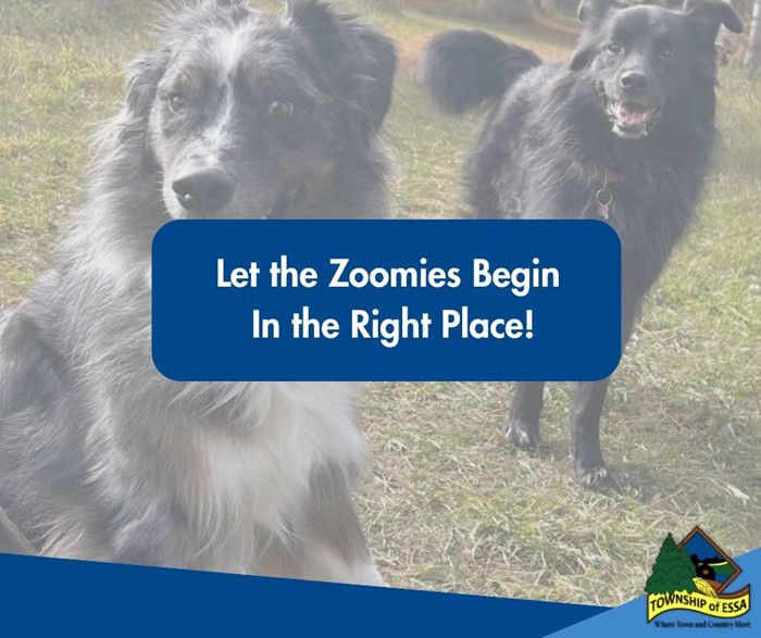 Off Leash Dog Parks
